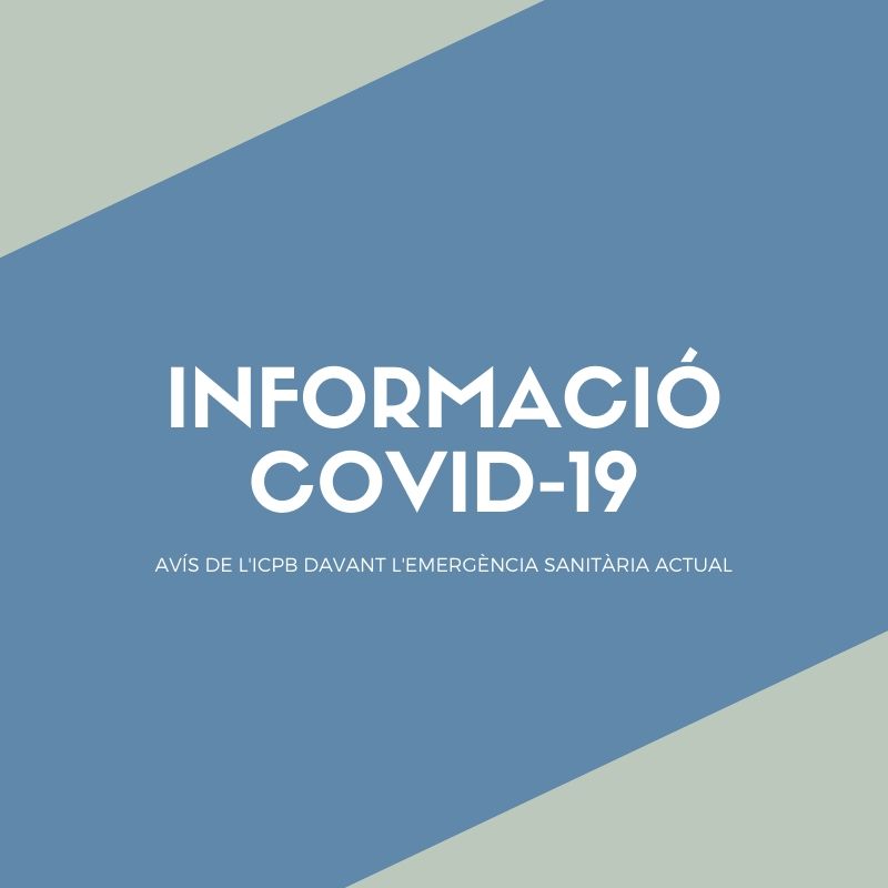 Acuerdos De La Junta De Gobierno Del Icpb En Relacion Al Estado De Alarma Y Suspension De Plazos Icpb